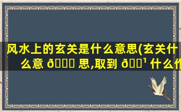 风水上的玄关是什么意思(玄关什么意 🐕 思,取到 🌹 什么作用)